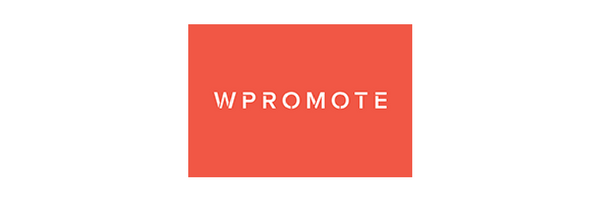 WP Promote client testimonial