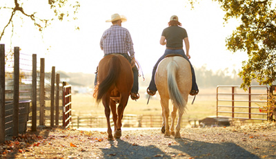 Millbrook Tack
